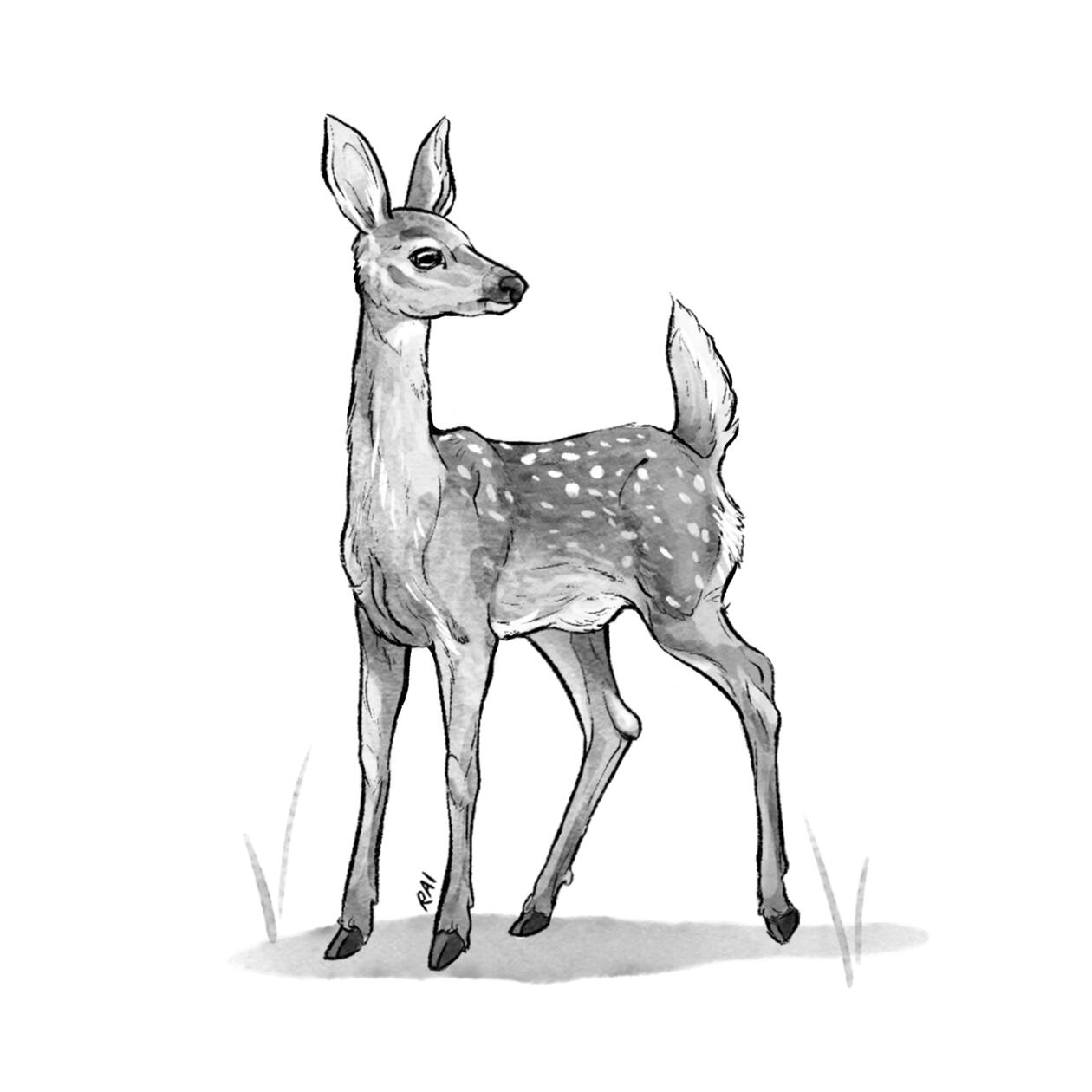 ‘Jolt.’ Ink, Digital. 2018.