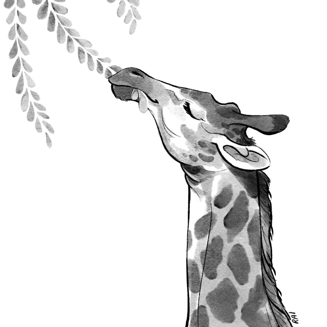 ‘Stretch.’ Ink, Digital. 2018.