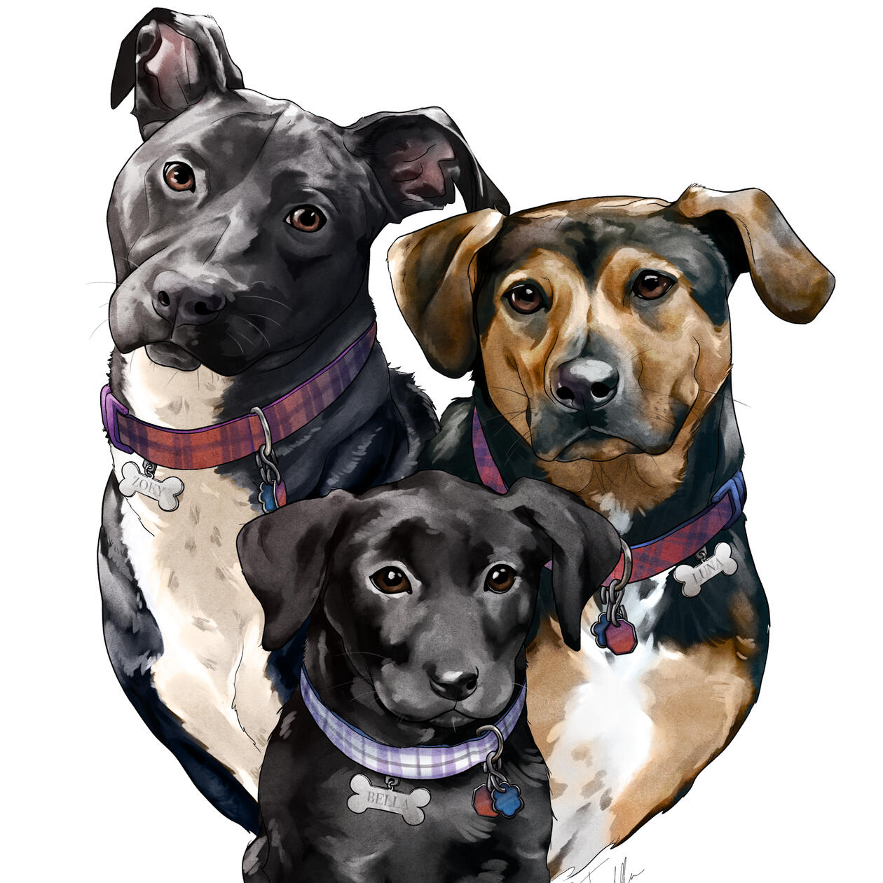 'Zoey, Luna, and Bella.' Ink, Digital. 2020.